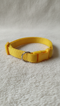 Coleira de Gato Amarelo Ajustável