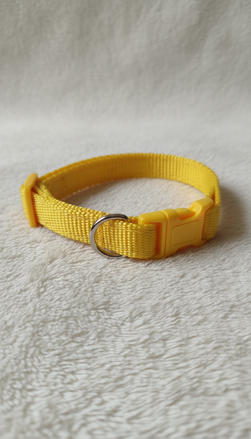 Coleira de Gato Amarelo Ajustável